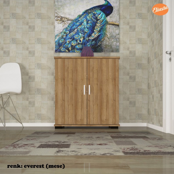 İki Kapılı Dört Raflı Ayakkabılık Dolabı