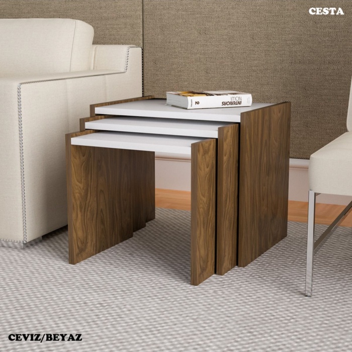 3 Lü Zigon Sehpa Takımı