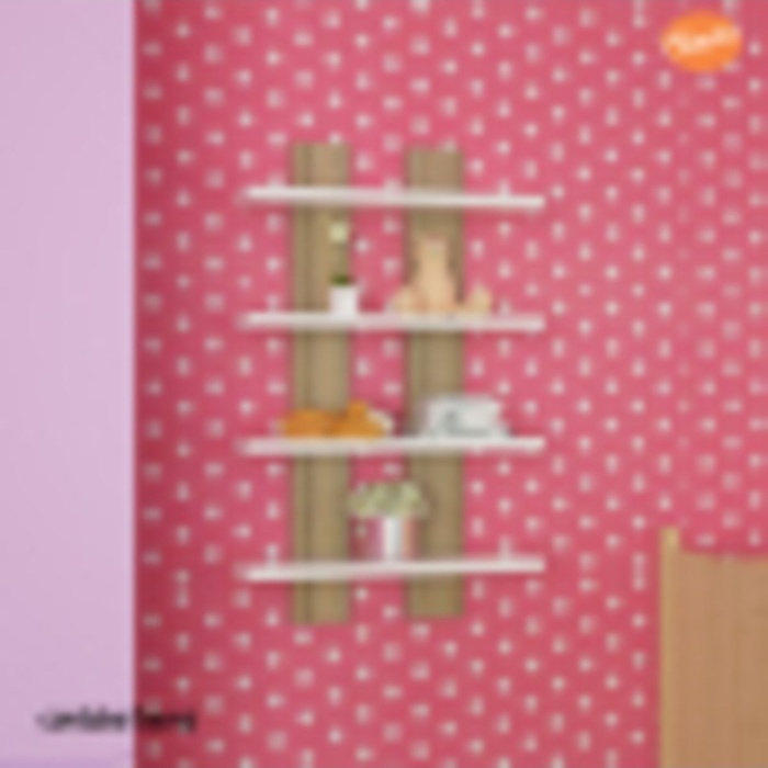 4 Lü Duvar Rafı Duvar Ünitesi