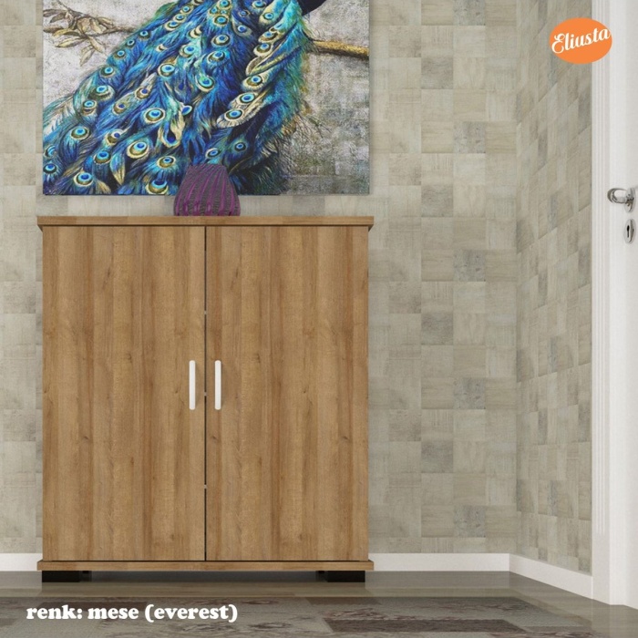 Ayakkabılık 2 Kapaklı Ayakkabı Dolabı Çok Amaçlı Dolap Mutfak Dolabı Ofis Dolabı