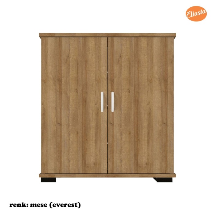 Ayakkabılık 2 Kapaklı Ayakkabı Dolabı Çok Amaçlı Dolap Mutfak Dolabı Ofis Dolabı