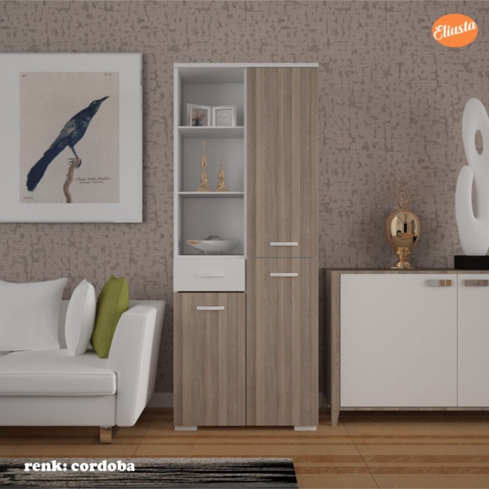 Ofis Dolabı Çok Amaçlı Dolap Banyo Dolabı Mutfak Dolabı Raflı Bölmeli