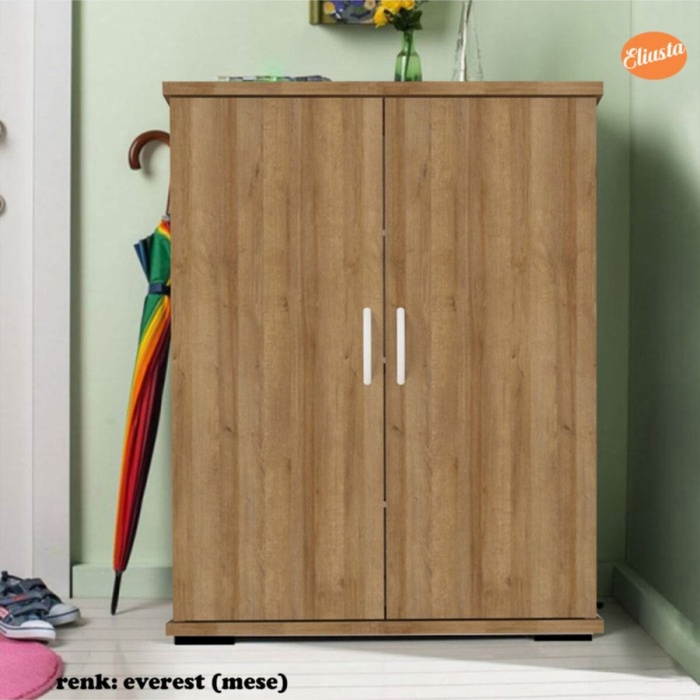 Ayakkabılık Çok Amaçlı Dolap 2 Kapaklı Ayakkabı Dolabı 4 Raflı