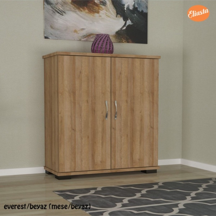 Ayakkabılık 2 Kapaklı Ayakkabı Dolabı Ard-113