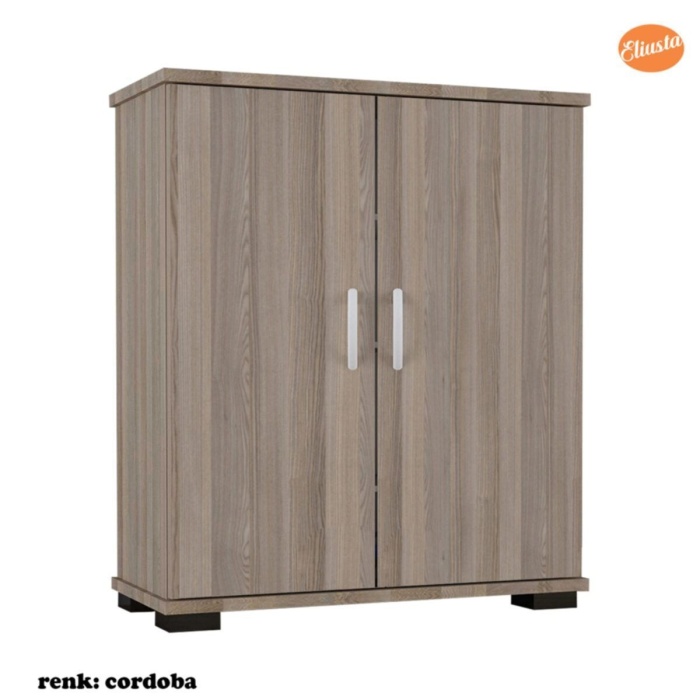 Ayakkabılık 2 Kapaklı Ayakkabı Dolabı Ard-115