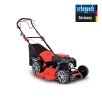 Scheppach MS225-56 Benzinli Çim Biçme Makinesi - 59112779969
