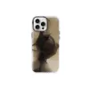 Joko iPhone 16 Pro Max Phantom Magsafe Kapak - Siyah