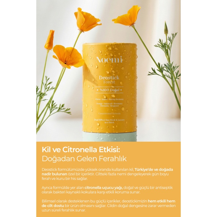 %100 Doğal Deo Stick / Roll On - Nemlendirici Etkili - 20ml – Forest