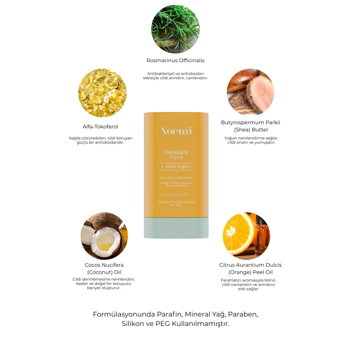 %100 Doğal Deo Stick / Roll On - Nemlendirici Etkili - 20ml – Forest