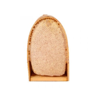 Tünel Karakovan Bal