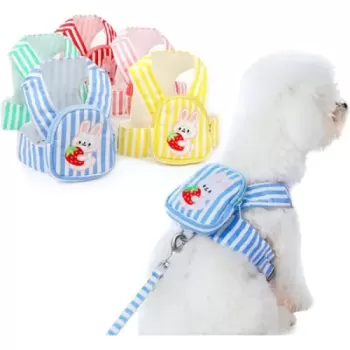 Çantalı Göğüs Gezdirme Tasması Seti