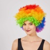 Rengarenk Kıvırcık Afro Bonus Peruk (5381)