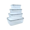 4'lü İç İçe Sızdırmaz Contalı Kilitli Kapaklı Plastik Erzak Saklama Kapları LC315 (5381)
