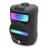 Platoon PL-4361 BT USB SD AUX 8 İNÇ Mikrofonlu Anfi Yüksek SES Taşınabilir RGB Işıklı Hoparlör (5381)
