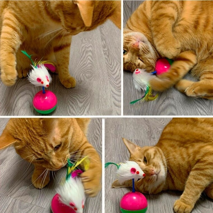 Kedi Oyun Topu Tüylü Fareli Hacı Yatmaz Eğitici Yavru Kedi Fare Kovalama Oyuncağı (5381)