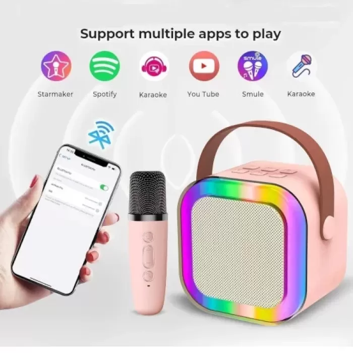 Karaoke Mikrofon Hoparlör Seti Mini (5381)