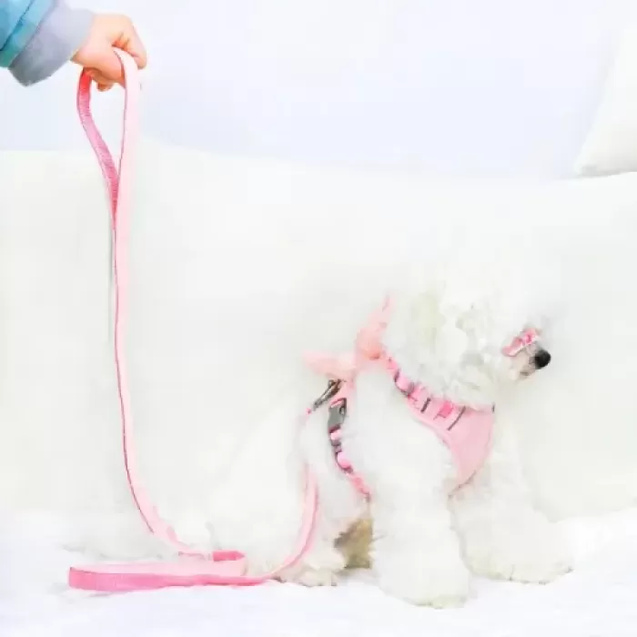 Peluş Ayıcıklı Göğüs Gezdirme Tasması Seti