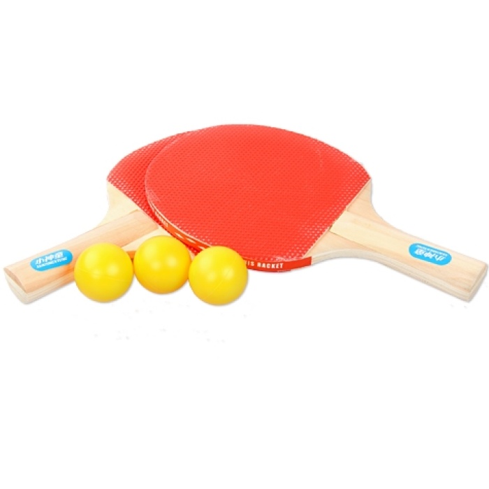 Masa Tenisi Seti (2 Raket + 3 Top) (5381)
