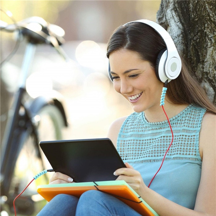 4&amp;#39;lü Apple, Android Şaj Kablosu Koruyucu Silikon Spiral Yay Aparat (5381)