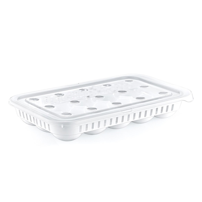 15&amp;apos;li Yumurta Saklama Kabı (5381)