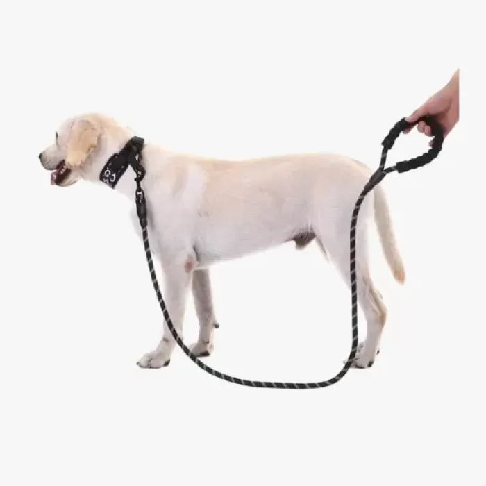 Köpekler İçin Reflektörlü Halat Gezdirme Tasması