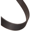 Fitness Koşu Bandı Kayışı 8PJ483
