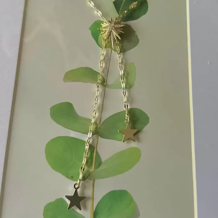 GOLD STAR DROP VIP KOLYE