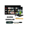 Technozi Botech Wzone 4k Android Kutu Için Tuner Uydu Alıcısı (Sadece Tuner Uydu Alıcısı)