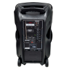 Electromaster ES-3845 15 Portatif Taşınabilir Ses Sistemi 200Watt 1 El Telsiz +1 Yaka Telsiz