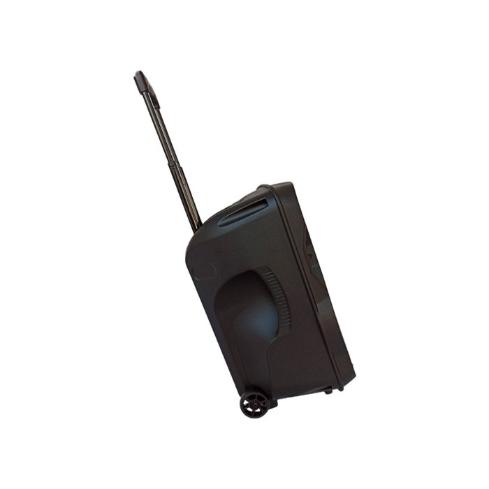 Rose RS-1545 Portatif Seyyar El+Kafa Telsiz Mikrofonlu 200 Watt Ses Sistemi
