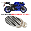 YAMAHA R25 SLIP ON EGZOS UCU - PETEK DESEN - 2014 SONRASI