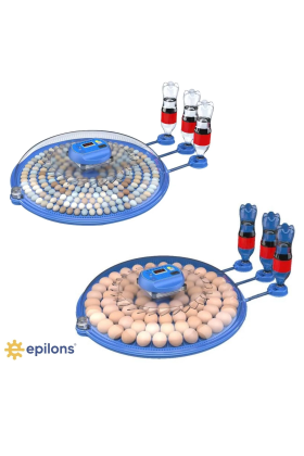80 Tavuk 240 Kuş Yumurta Kapasiteli Çift Viyollü Kuluçka Makinesi - Kaz, Ördek, Tavuk, Bıldırcın İçin