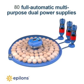 KESGİN MARKET® 80 Yumurta Kapasiteli Otomatik Çiftlik Kuluçka Makinesi : Yumurta, Bıldırcın, Civciv Ve Kanatlılar İçin Mz-80