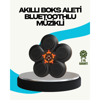 KESGİN MARKET ® Ev Tipi Akıllı Boks Duvar Paneli Müzikli Bluetoothlu Refleks Geliştirme Cihazı