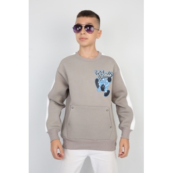 Üç İplik Şardonlu Arka Baskılı Erkek Çocuk Günlük Sweatshirt