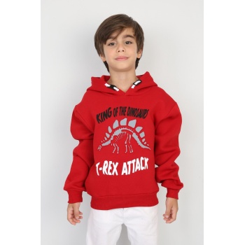 Üç İplik Şardonlu Baskılı Kapşonlu Erkek Çocuk Günlük Sweatshirt