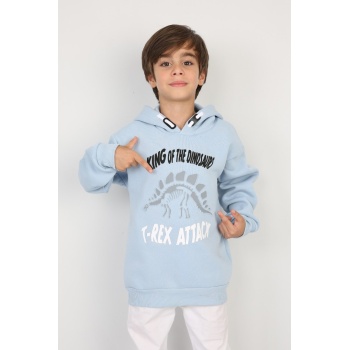 Üç İplik Şardonlu Baskılı Kapşonlu Erkek Çocuk Günlük Sweatshirt