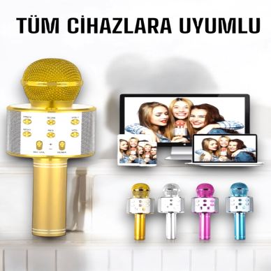 Taşınabilir Bluetooth Karaoke Mikrofon: Hafıza Kart Girişli, Etkileyici Performans