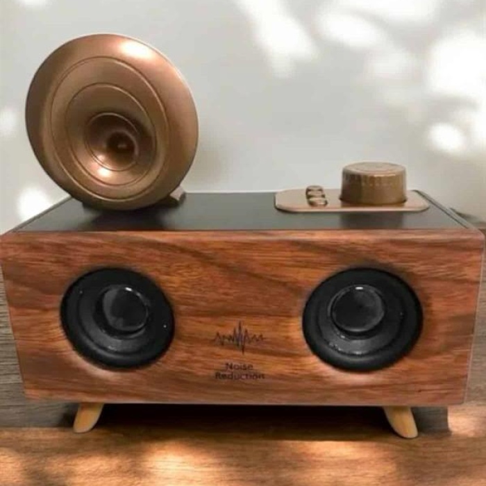 KESGİN MARKET ® Çalar Radyo Müzik Kutusu Nostaljik Hoparlör Speaker