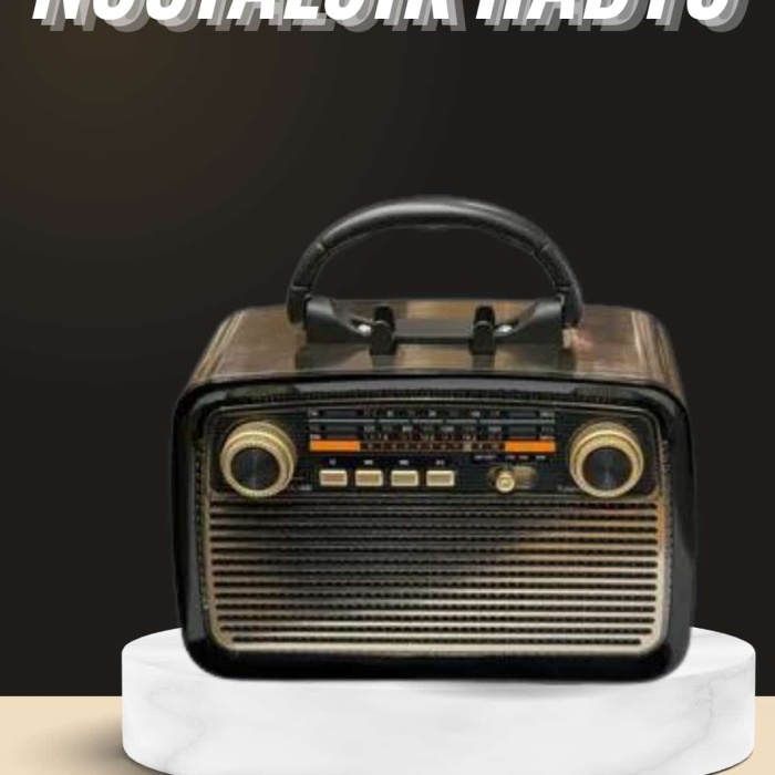 KESGİN MARKET ® Nostaljik Radyo Bluetooth Bağlantılı Müzik Kutusu Ahşap