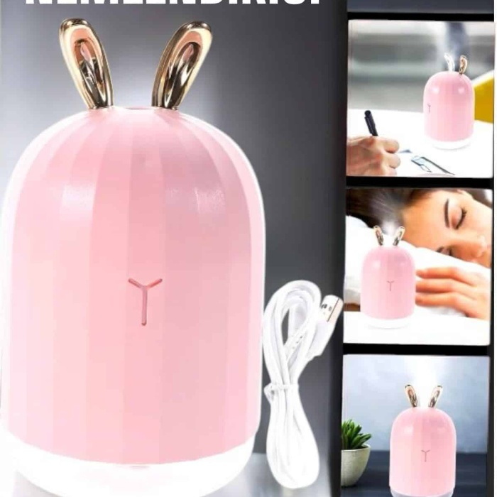 KESGİN MARKET ® Aromaterapi Hava Temizleyici Buhar Makinesi Taşınabilir Şarjlı