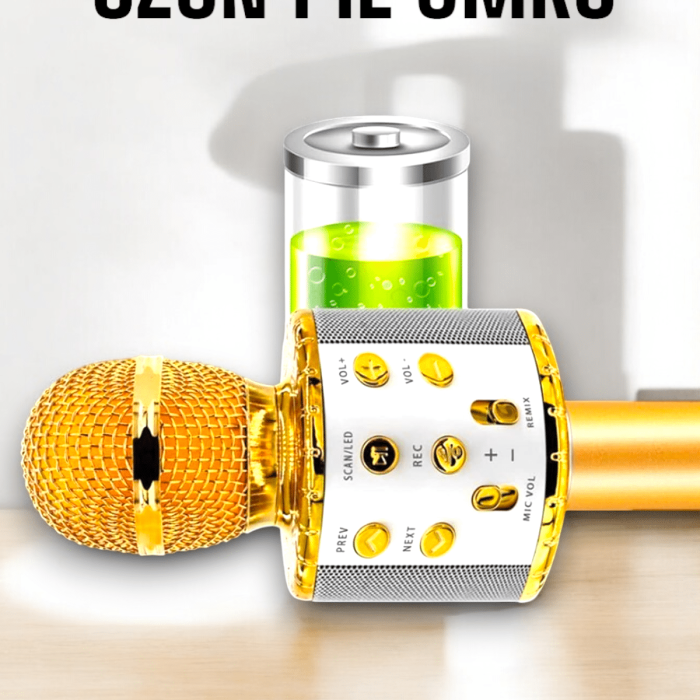 KESGİN MARKET ® Kablosuz Bluetooth Karaoke Mikrofon USB ve AUX Girişli, Yüksek Ses Kalitesi