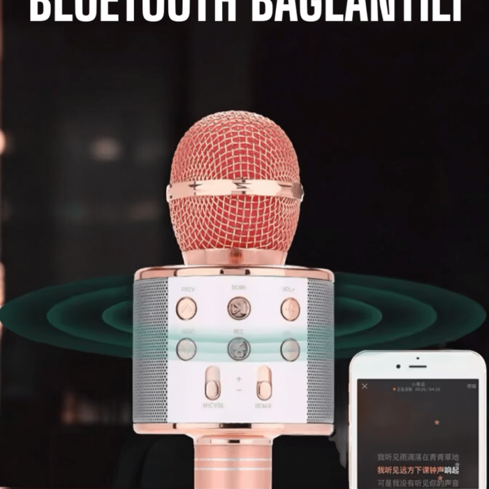 KESGİN MARKET ® Kablosuz Bluetooth Karaoke Mikrofon USB ve AUX Girişli, Yüksek Ses Kalitesi