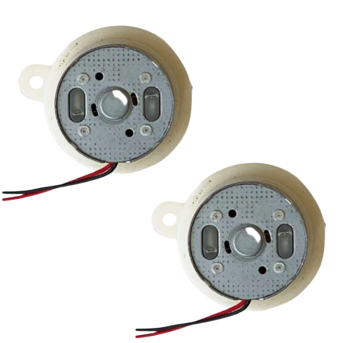 KESGİN MARKET® 2 Adet Kuluçka Makinesi Mini Viyol Çevirme Motoru 12 Volt