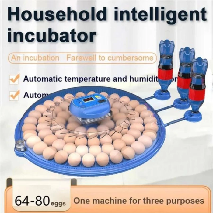 KESGİN MARKET® 80 Yumurta Kapasiteli Otomatik Çiftlik Kuluçka Makinesi : Yumurta, Bıldırcın, Civciv Ve Kanatlılar İçin Mz-80