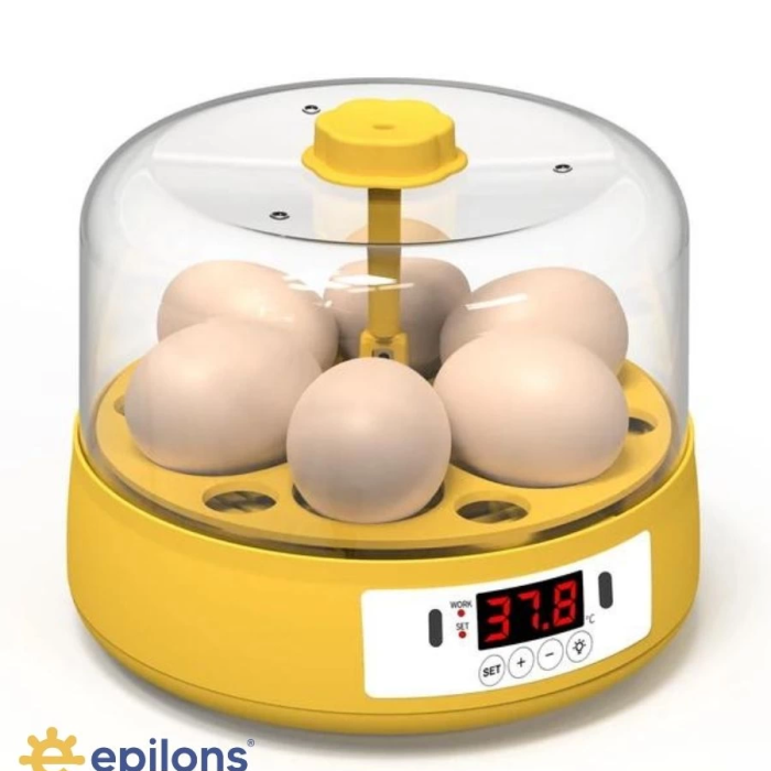 KESGİN MARKET® Mini Otomatik Ev Tipi Kuluçka: Elektrikli Tavuk Ve Kuş Kuluçka Makinesi 6 Yumurtalı Mx-6