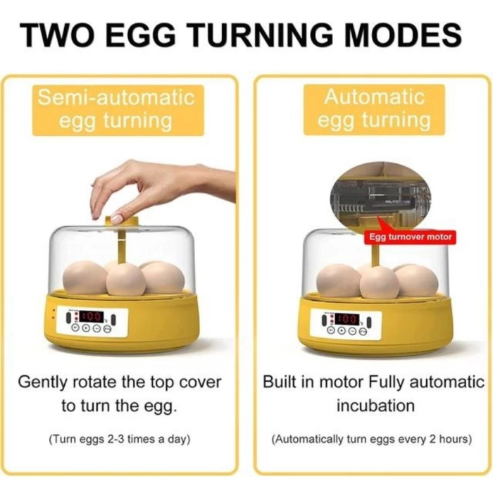 KESGİN MARKET® Mini Otomatik Ev Tipi Kuluçka: Elektrikli Tavuk Ve Kuş Kuluçka Makinesi 6 Yumurtalı Mx-6