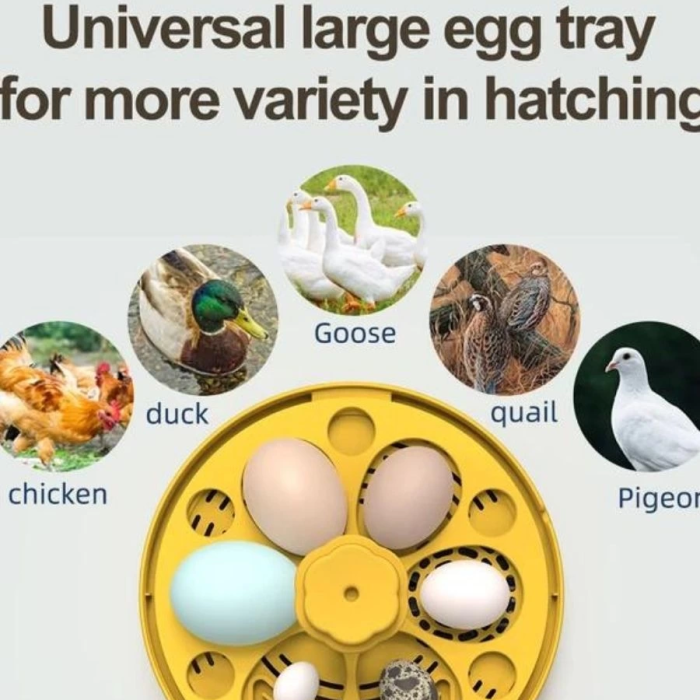 KESGİN MARKET® Mini Otomatik Ev Tipi Kuluçka: Elektrikli Tavuk Ve Kuş Kuluçka Makinesi 6 Yumurtalı Mx-6