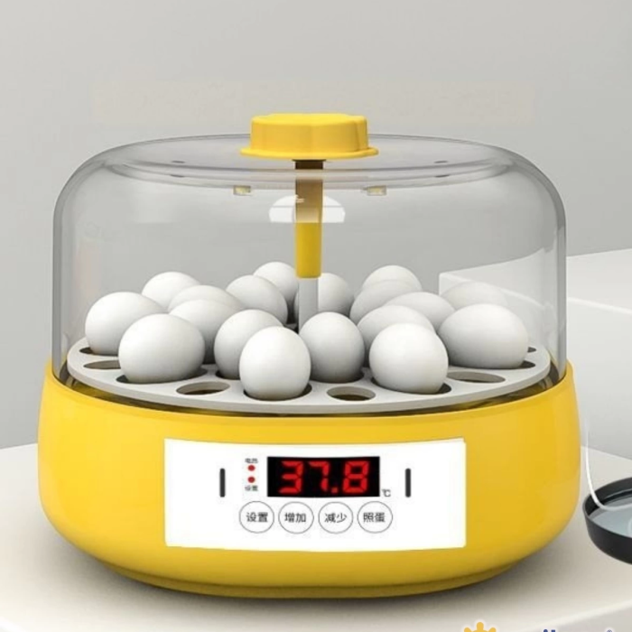 KESGİN MARKET® Mini Otomatik Ev Tipi Kuluçka: Papağan Bıldırcın Kuluçka Makinesi 18li Yumurtalı Mx-18