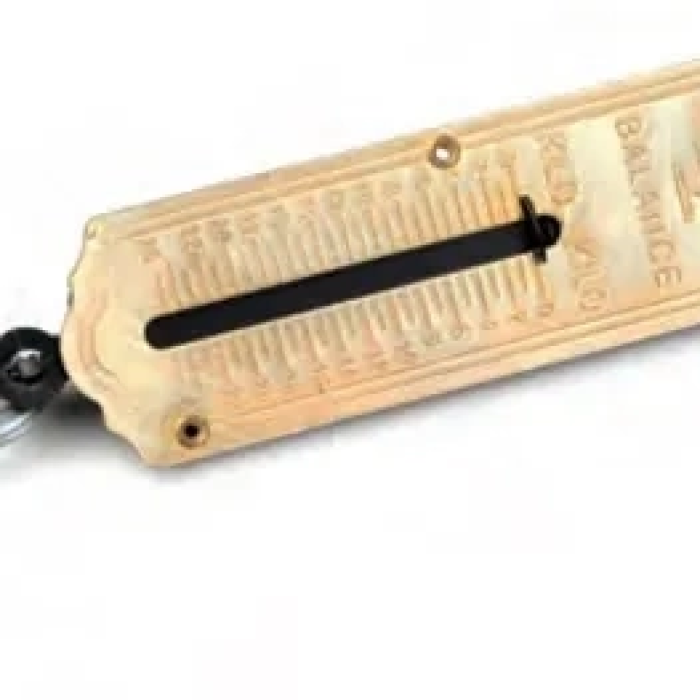 KESGİN MARKET® El Kantarı 25 Kg